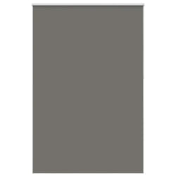 vidaXL Store occultant largeur 151,6 cm