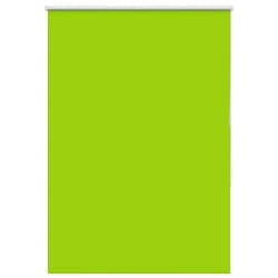 vidaXL Store Enrouleur - Vert Feuille