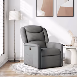 VidaXL 4015597 fauteuil