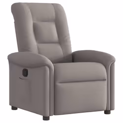 VidaXL 4015623, Tissu, Taupe, mousse, 110 kg, 770 mm, 915 mm