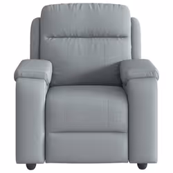 VidaXL 4015680 fauteuil