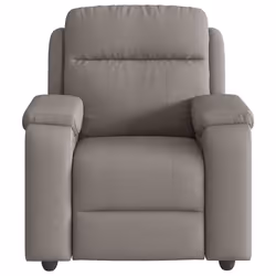 VidaXL 4015697 fauteuil