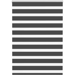 Vidaxl - Store zèbre noir 105x100 cm largeur du tissu 100,9 cm polyester