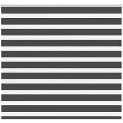 Vidaxl - Store zèbre noir 155x100 cm largeur du tissu 150,9 cm polyester