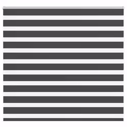 vidaXL Store zèbre noir 165x100 cm largeur du tissu 1609 cm polyester store à enrouleur zébré store zébré pour fenêtre 401422 ...