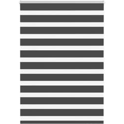 Vidaxl - Store zèbre noir 105x150 cm largeur du tissu 100,9 cm polyester