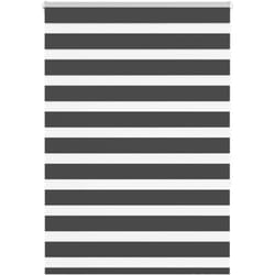 Vidaxl - Store zèbre noir 110x150 cm largeur du tissu 105,9 cm polyester
