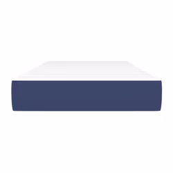 VidaXL 4016541 matelas Mini taille unique Matelas à ressorts