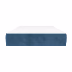VidaXL 4016568 matelas Matelas à ressorts