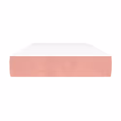 VidaXL 4016599 matelas Mini taille unique Matelas à ressorts