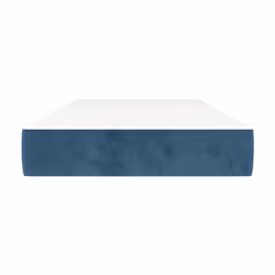 VidaXL 4016604 matelas Taille lit simple/twin Matelas à ressorts