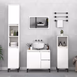 VidaXL 857111 miroir de salle de bain et armoire de rangement pour évier