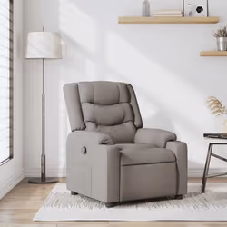 VidaXL 4019926 fauteuil