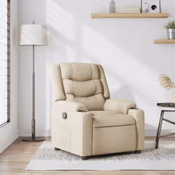 VidaXL 4019927 fauteuil