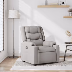VidaXL 4019928 fauteuil