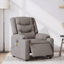 VidaXL 4019933 fauteuil