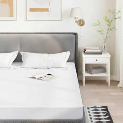 VidaXL 4100150 matelas Matelas roulé