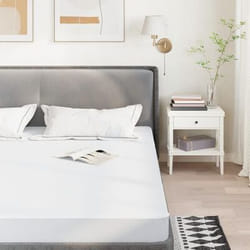 VidaXL 4100157 sur-matelas et alaise