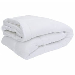 VidaXL 4100196 couverture et protection pour 160 x 220 cm