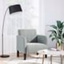 vidaXL Fauteuil avec accoudoirs gris clair 54 cm velours