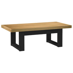 VidaXL 4100035 Table à café, latérale et de salon