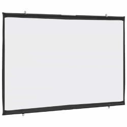 vidaXL Écran de projection mural 50 pouces