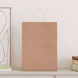 Les sacs en papier offrent une option d'emballage durable pour une grande variété d'utilisations. Matériau durable et recycla ...