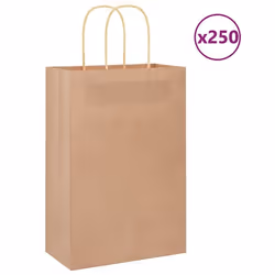 vidaXL Sacs en papier 250 pcs avec poignées marron 21x11x31 cm sac en papier sac cadeau en papier sac cadeau en papier 410158 ...