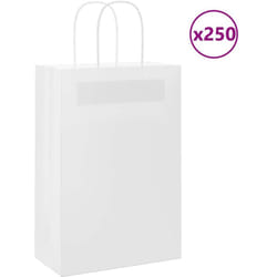 Sacs en papier 250 pcs avec poignées blanc 21x11x31 cm - Vidaxl