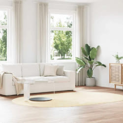 VIDAXL NAVARRA Tapis shaggy crème 300x200 cm