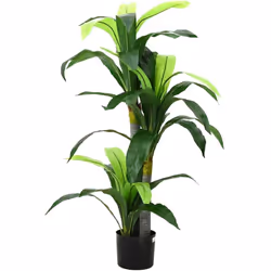 Ce dracaena artificiel sera un choix parfait pour orner votre entrée, salon ou bureau. Aspect réaliste : les feuilles du drac ...