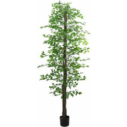 Plante artificielle ficus 2016 feuilles 300 cm vert - Vidaxl