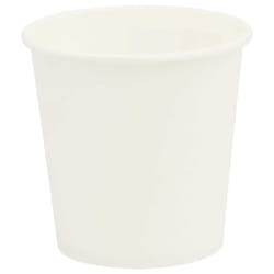 Vidaxl Tasses À Café En Papier 1000 Pcs 4oz 100ml Blanc