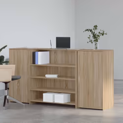 VidaXL 3324180 bureau
