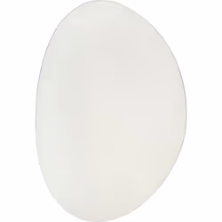 Ce tapis vidaXL, couleur crème, est parfait pour apporter une touche classe à toutes les pièces. Avec sa laine douce, il mixe ...