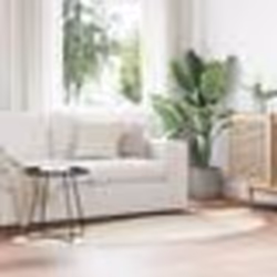vidaXL Tapis Crème 100 x 200 cm Polypropylène doux