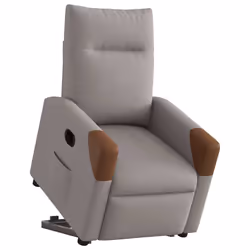 VidaXL 3324027 fauteuil
