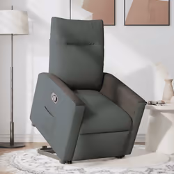VidaXL 3324053 fauteuil