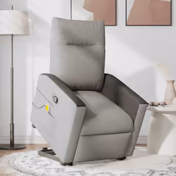 VidaXL 3324058 fauteuil