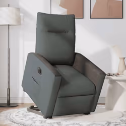 VidaXL 3324067 fauteuil