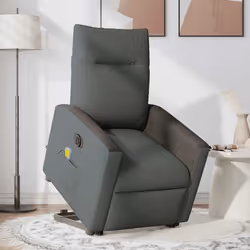 VidaXL 3324074 fauteuil