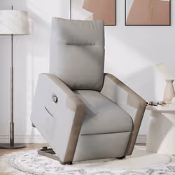 VidaXL 3324089 fauteuil