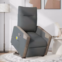VidaXL 3324096 fauteuil