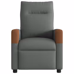 VidaXL 4104810 fauteuil