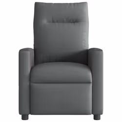 VidaXL 4104826 fauteuil