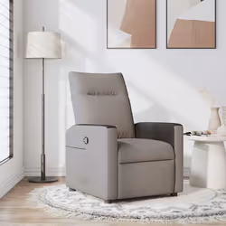 VidaXL 4104830 fauteuil