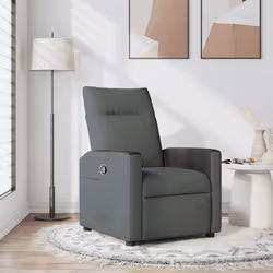 VidaXL 4104833 fauteuil