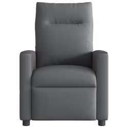 VidaXL 4104833 fauteuil