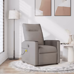 VidaXL 4104837 fauteuil