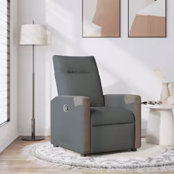 VidaXL 4104840 fauteuil